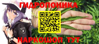 дживик Краснодар