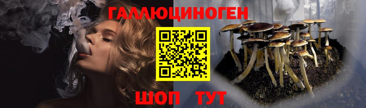 Кострома  Галлюциногенные грибы ЛСД  Вход с VPN  Псилоцибиновые грибы прущие грибы 